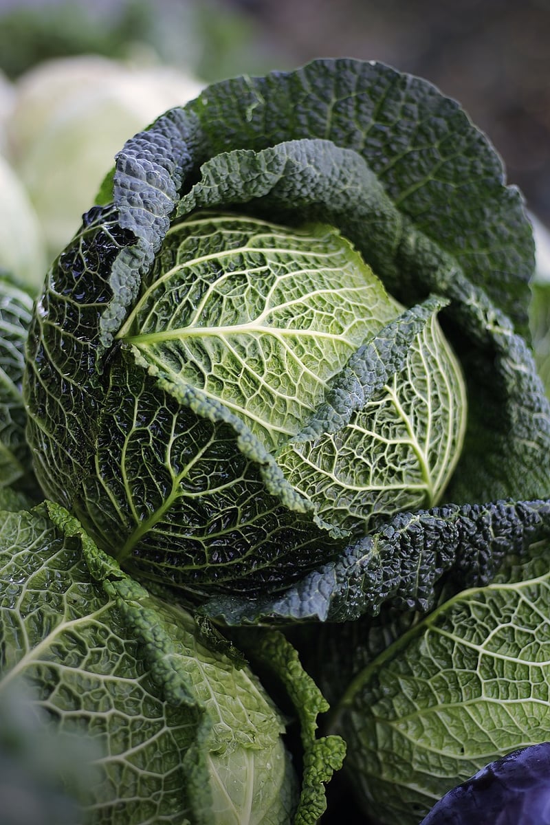 Healthy Vegetables